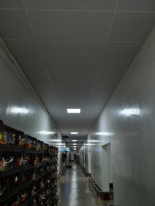73324317_1001465146867174_1673081566441504768_o